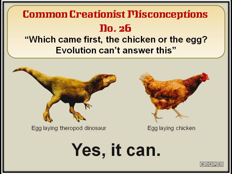 Что появилось первее курица. Эволюция курицы. Курица динозавр. Предки курицы Эволюция. Чикен Эволюция.